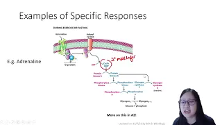 Chapter 4.2 - Cell Signalling | Cambridge A-Level 9700 Biology