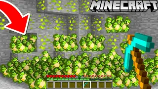 Ich FINDE das GELD ERZ in Minecraft!