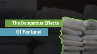 The Dangerous Effects of Fentanyl on the Body