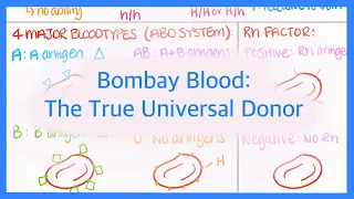 Bombay Blood: The True Universal Donor Blood Type