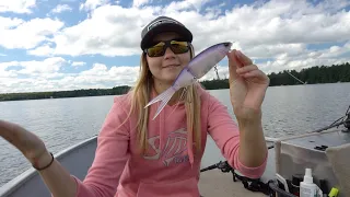 Unique Swimbait! (DRT Tiny Klash)