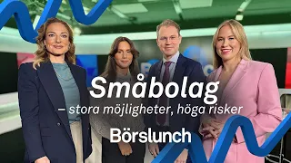 Börslunch: Så hittar du kursvinnarna bland småbolagen