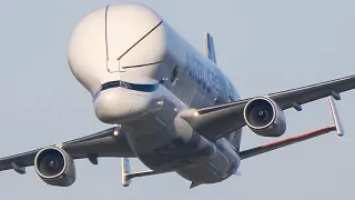 Airbus Beluga XL AEROBATICS DISPLAY  - Fly Past, Wing Wave & Landing at Broughton - February 2019