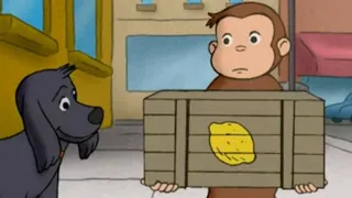 George Makes A Stand | Curious George | Video for kids | WildBrain Zoo