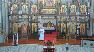 Ukrainian Catholic Divine Liturgy 31/7/22