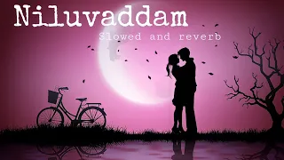 Niluvaddam Ninne Song ||Nuvvostanante Nenoddantana Songs|| ||Telugu lofi song|| ||slowed + Reverb||