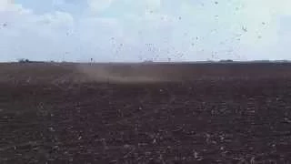 Dust Devil Intercept!