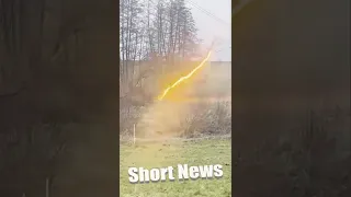 Viral Falling Tree Touching 110,000 Volt Power Line Looks Like Lightning Bolt