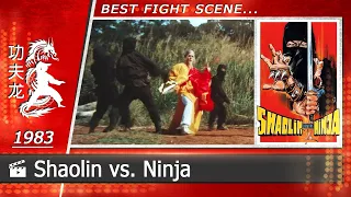 Shaolin vs. Ninja | 1983 (Scene-3)