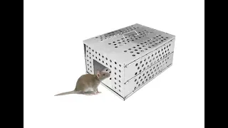 Непрерывная автоматическая клетка мышеловка крысоловка