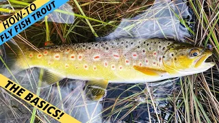 CATCH MORE TROUT IN STREAMS  — Deciding What To Use & Where When Fly Fishing For Trout