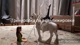 Тренировка по вольтижировке