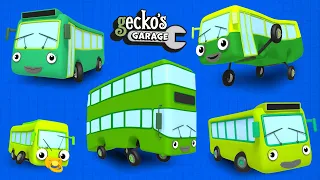 Learn Numbers 1-5 With Green Buses｜Gecko's Garage｜Cartoon For Kids｜Early Education