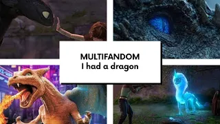 Multifandom || I had a dragon