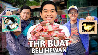 KASIH THR HARUS DIHABISIN BUAT DIBELIIN HEWAN APAPUN!