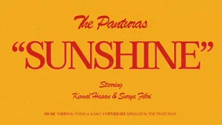 The Panturas - Sunshine (Official Music Video)