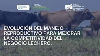 Evolución del manejo reproductivo para mejorar la competitividad del negocio lechero.