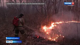 В 5 районах Хабаровского края зафиксированы серьезные палы сухой травы