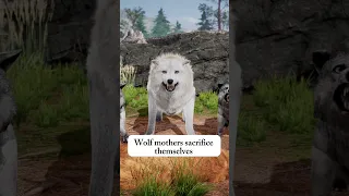 SAVE WOLFPUPS | 💖Mother Wolf's Love  #shorts #wolf #animals