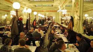 French brasseries: Where tradition is on the menu • FRANCE 24 English