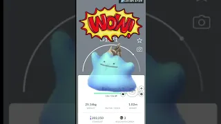 How to Catch DITTO in Pokémon GO? (DECEMBER 2022) #shorts #anythingmakers #pokemongo