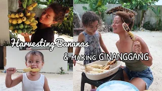 Harvesting our bananas for merienda! GINANGGANG