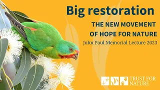 Big restoration – the new movement of hope for nature