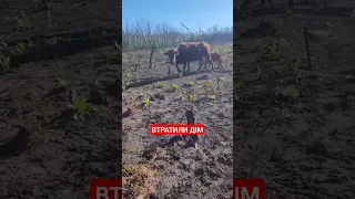 Сумна буденність війни