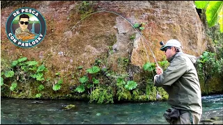 CON ESTE "TRUCO" PESCARÁS MUCHO MÁS!!!: Aprendamos sobre los indicadores de pique (Pesca con mosca)