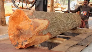 Advanced sawmill wood cutting woodworking projects skills//giant is the world's most expensive wood