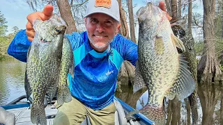The BEST Technique for Slab Crappie (CATCH & COOK)