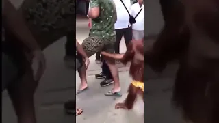 Monkey gropes man’s genitals in public.. watch until the end 🤯