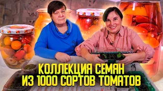 Коллекция семян из 1000 сортов томатов