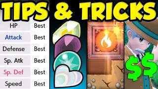 BEST TIPS AND TRICKS FOR POKEMON BRILLIANT DIAMOND AND SHINING PEARL / Top 10 Tips Pokemon BDSP!