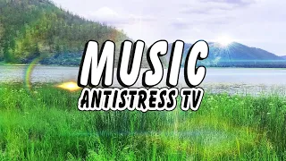 Бесподобная Музыка! Потрясающий Релакс от Городских Пробок [ANTISTRESS MUSIC] 2020