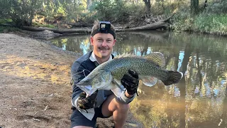 Murray Cod Fishing Bonanza Epic Skinny Water Captures