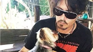 Australia tells Johnny Depp's dogs Pistol and Boo to "bugger off"