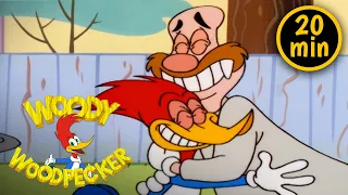 Woody and Wally Become Friends | 3 Full Episodes | Woody Woodpecker