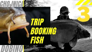 Booking Fish Trip 3 - Chojnica i Dobino Głębokie || ZACHODNIOPOMORSKIE!