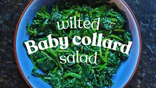 Blissful recipes - ✨Wilted Baby Collard Salad🥗- flood your body with super nutrients ⚡