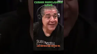 Joe Rogan learns Cuban Marijuana Laws