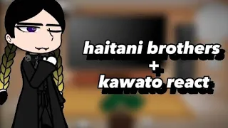 haitani brothers+ kawata siblings react to each other! [⚠️ships⚠️]