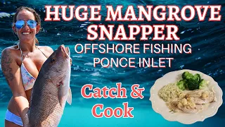 Hot Offshore Fishing Florida Huge Mangrove Snapper Catch and Cook Ponce Inlet