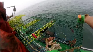 Lobstering out of Stonington Maine