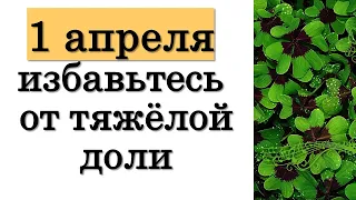 Сегодня 1 апреля 2021 года избавьтесь от тяжёлой доли. Народные приметы на 1 апреля