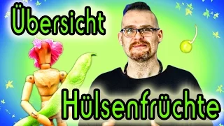 Hülsenfrüchte ⚵ Definition, Übersicht & Unterschiede Erbsen, Bohnen, Linsen & Co ⚵ Anbau & Kochen