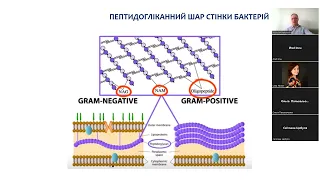 ВІдеолекція Бета лактамні антибіотики  1