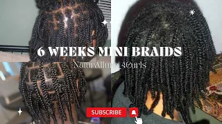 GROW YOUR HAIR FAST WITH MINI BRAIDS IN 6 WEEK!!🤯#new #viral #youtube #hairgrowth #minibraids