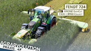Fendt 724 + Krone EasyCut F320 + B950 Collect • Mowing whole plant silage | Agrarvolution Praxis