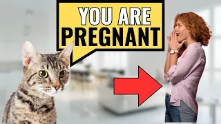 10 SECRET Things Your CAT Knows About YOU